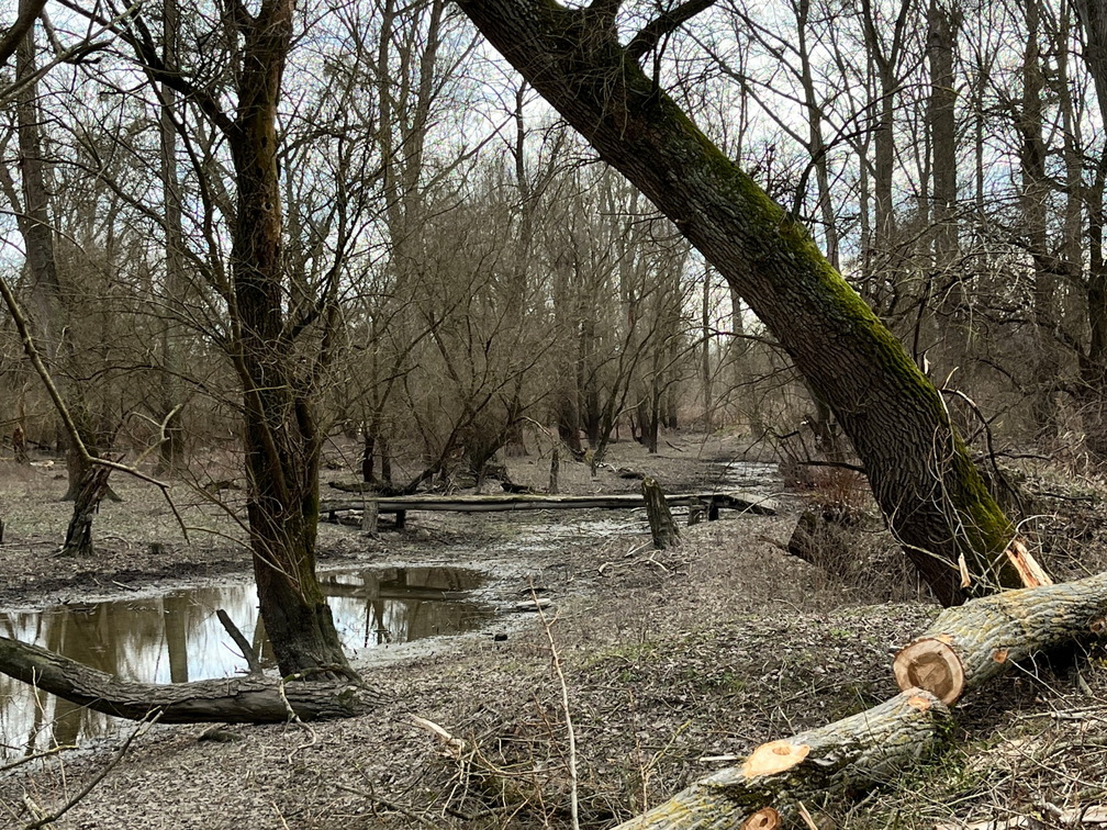 23-02-18 15-01-57 4264